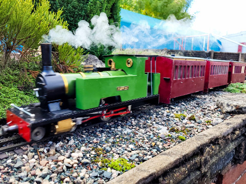 Sunny Saturday Running