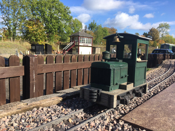 Sunny Saturday Running