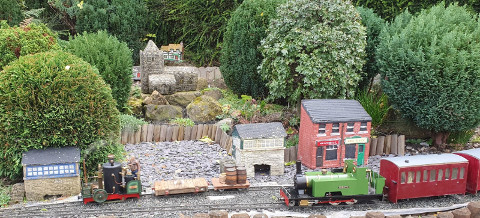 Sunny Saturday Running