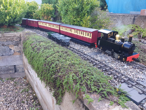 Sunny Saturday Running