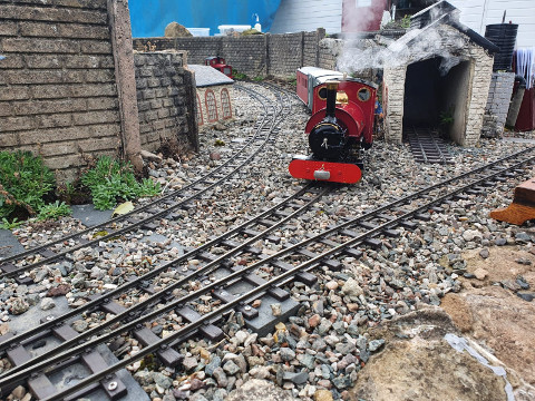 Sunny Saturday Running