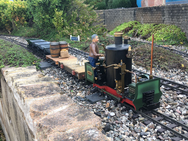 Sunny Saturday Running