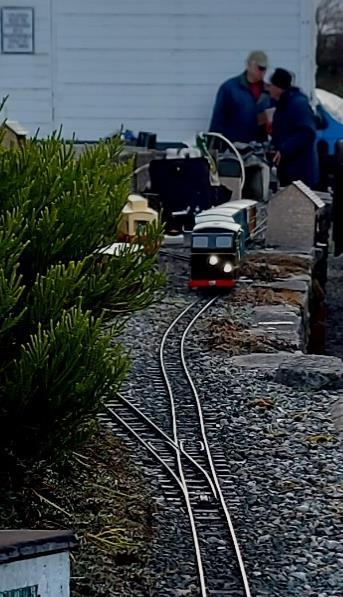 Andrew's Lady Rowena