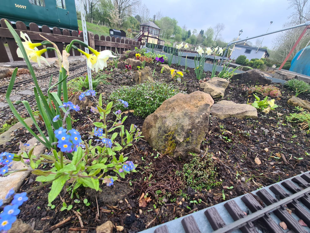 Dave's Garden Photos