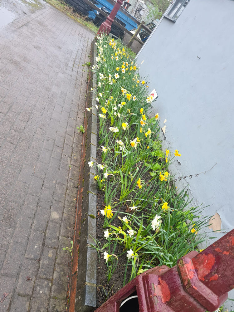 Dave's Garden Photos