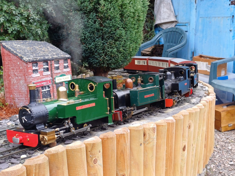 Four Lady Annes photo