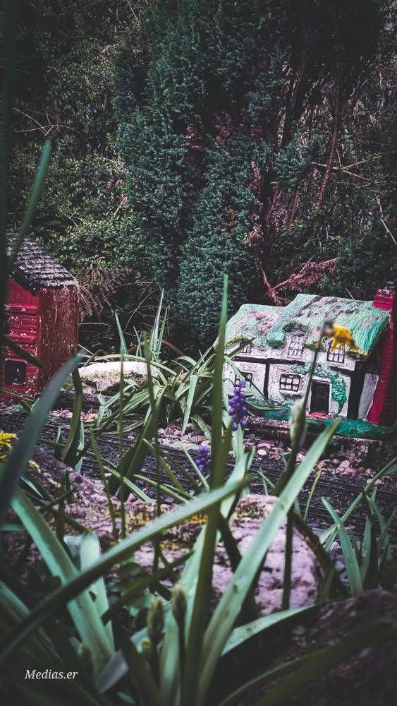 Elliot's Garden Photos