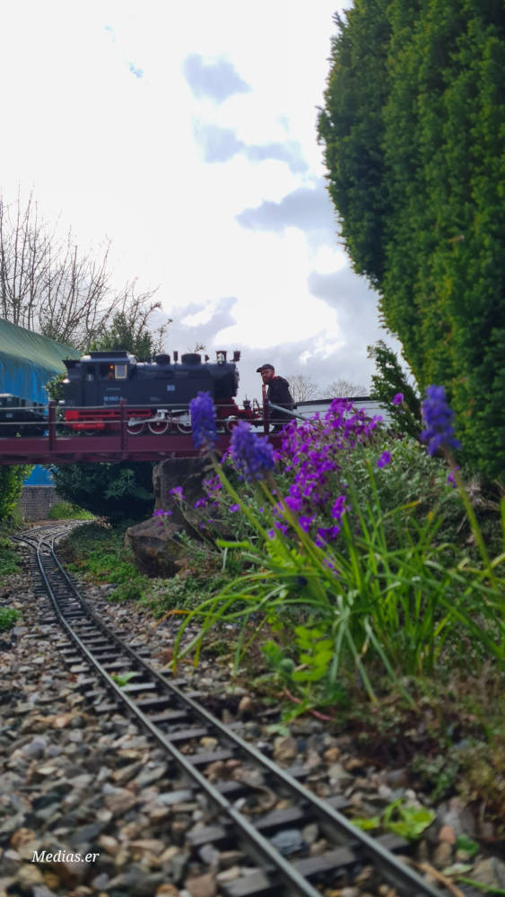 Elliot's Garden Photos